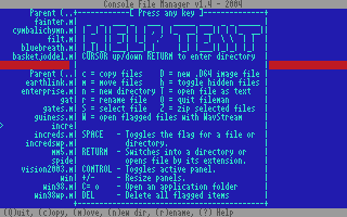 Fileman's built in help screen